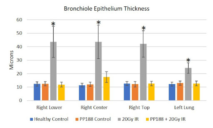 Bronchiole Epithelium Thickness