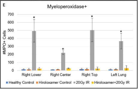 Myeloperoxidase 2